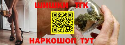 гашик Сланцы