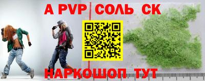 гашик Сланцы