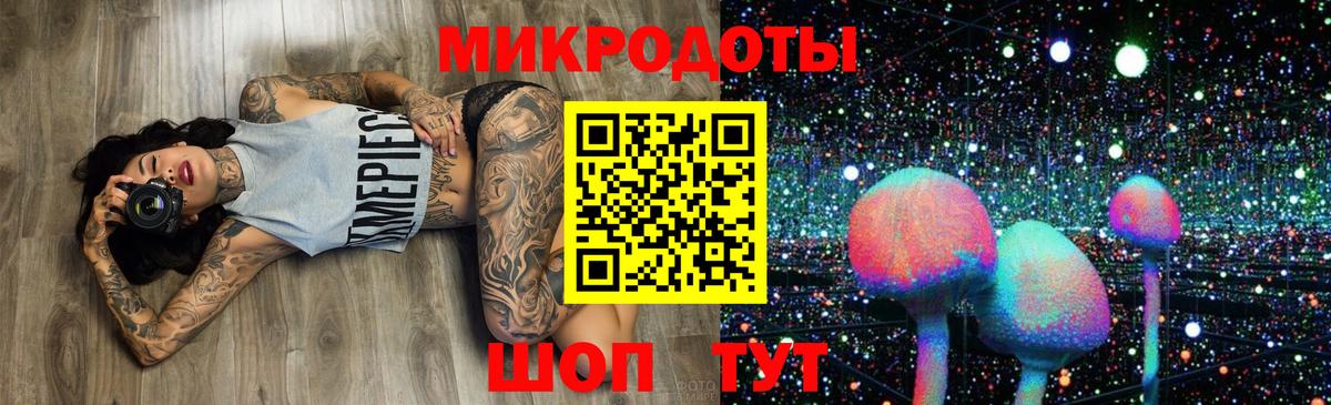 Боровичи  Галлюциногенные грибы Psilocybe  Вход с VPN 